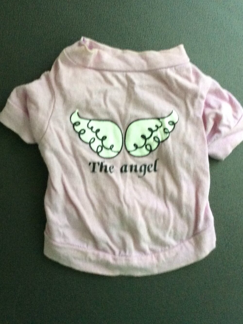"The Angel" with Angel Wings Pet Shirt